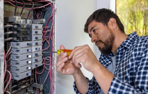 Best Residential Electrician Services  in Ripley, WV
